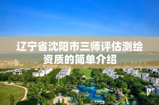 辽宁省沈阳市三师评估测绘资质的简单介绍