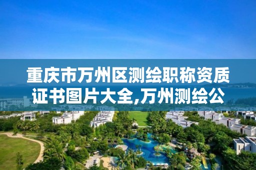 重庆市万州区测绘职称资质证书图片大全,万州测绘公司招聘。