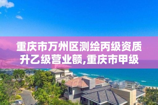 重庆市万州区测绘丙级资质升乙级营业额,重庆市甲级测绘资质单位。