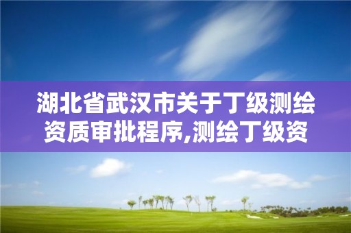 湖北省武汉市关于丁级测绘资质审批程序,测绘丁级资质申报条件。