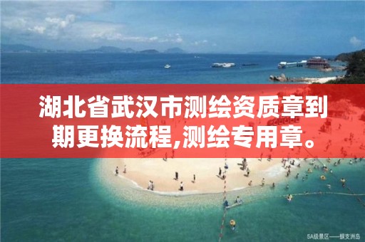 湖北省武汉市测绘资质章到期更换流程,测绘专用章。