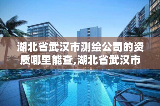 湖北省武汉市测绘公司的资质哪里能查,湖北省武汉市测绘公司的资质哪里能查到。