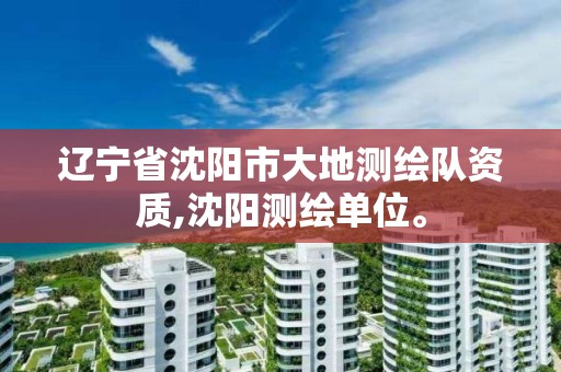 辽宁省沈阳市大地测绘队资质,沈阳测绘单位。