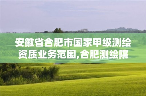 安徽省合肥市国家甲级测绘资质业务范围,合肥测绘院。