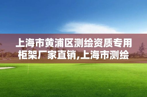 上海市黄浦区测绘资质专用柜架厂家直销,上海市测绘产品质量。