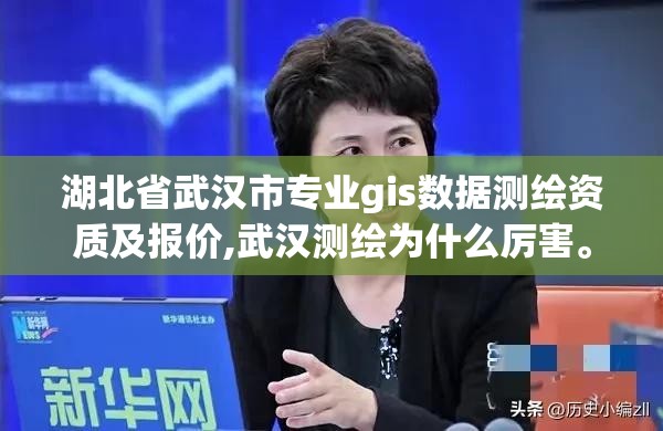 湖北省武汉市专业gis数据测绘资质及报价,武汉测绘为什么厉害。