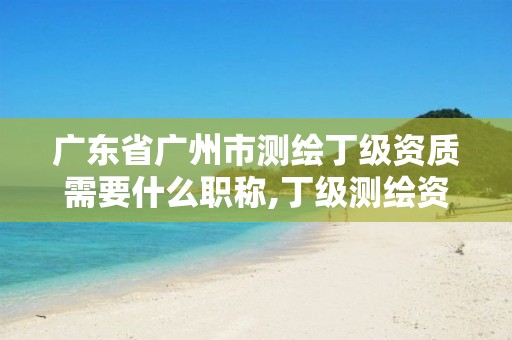 广东省广州市测绘丁级资质需要什么职称,丁级测绘资质申请需要什么仪器。