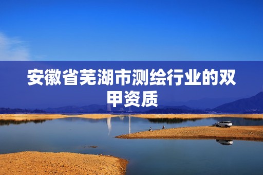 安徽省芜湖市测绘行业的双甲资质