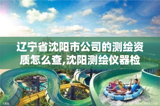 辽宁省沈阳市公司的测绘资质怎么查,沈阳测绘仪器检测单位。