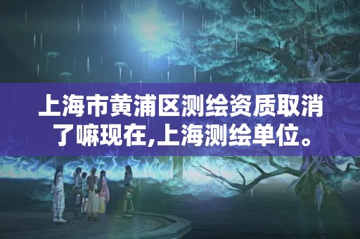 上海市黄浦区测绘资质取消了嘛现在,上海测绘单位。