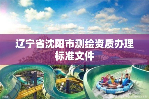 辽宁省沈阳市测绘资质办理标准文件