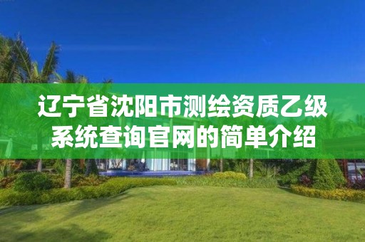 辽宁省沈阳市测绘资质乙级系统查询官网的简单介绍