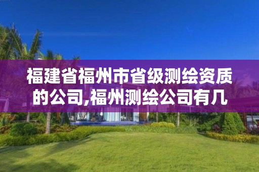 福建省福州市省级测绘资质的公司,福州测绘公司有几家。