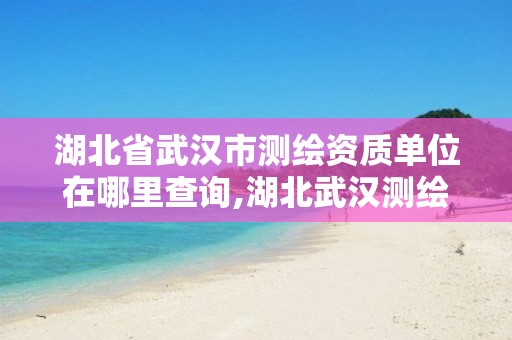 湖北省武汉市测绘资质单位在哪里查询,湖北武汉测绘公司排行榜。