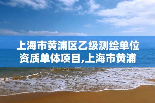 上海市黄浦区乙级测绘单位资质单体项目,上海市黄浦区乙级测绘单位资质单体项目有哪些。