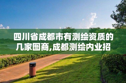 四川省成都市有测绘资质的几家图商,成都测绘内业招聘信息。