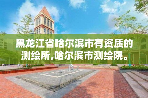 黑龙江省哈尔滨市有资质的测绘所,哈尔滨市测绘院。