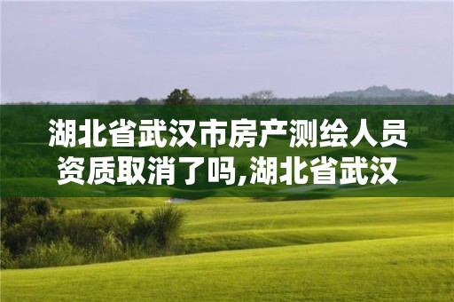 湖北省武汉市房产测绘人员资质取消了吗,湖北省武汉市房产测绘人员资质取消了吗今年。