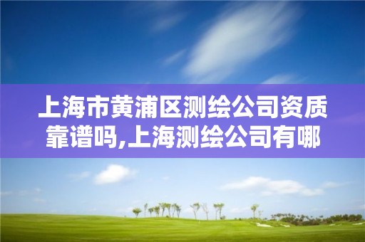 上海市黄浦区测绘公司资质靠谱吗,上海测绘公司有哪几家。