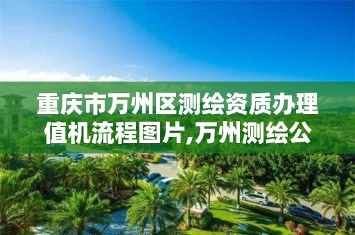 重庆市万州区测绘资质办理值机流程图片,万州测绘公司招聘。