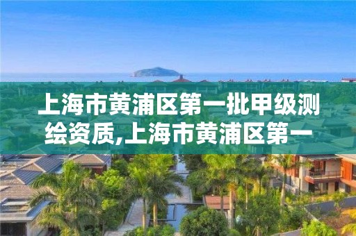 上海市黄浦区第一批甲级测绘资质,上海市黄浦区第一批甲级测绘资质企业。