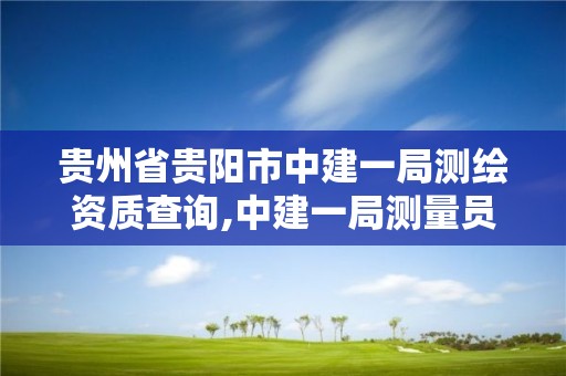 贵州省贵阳市中建一局测绘资质查询,中建一局测量员工资。