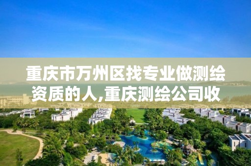 重庆市万州区找专业做测绘资质的人,重庆测绘公司收费标准。