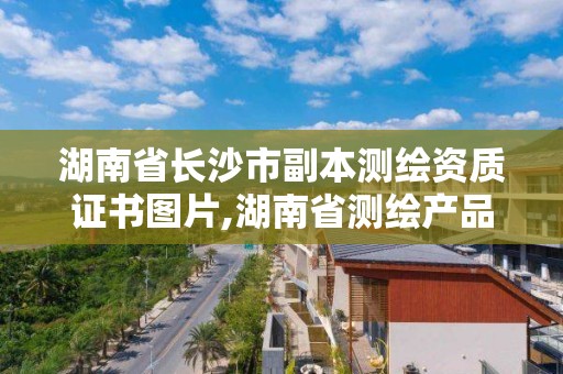 湖南省长沙市副本测绘资质证书图片,湖南省测绘产品质量监督检验授权站。