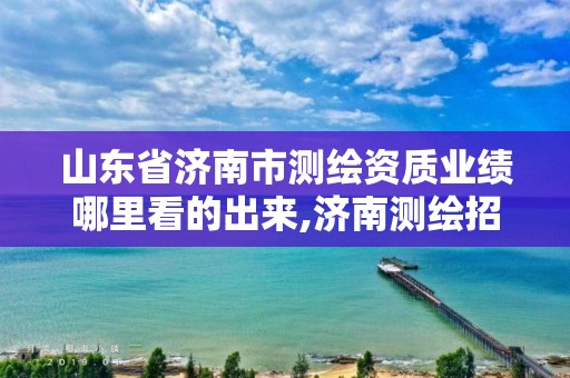 山东省济南市测绘资质业绩哪里看的出来,济南测绘招标。