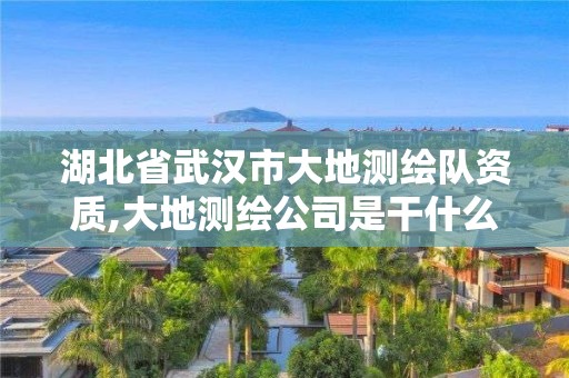 湖北省武汉市大地测绘队资质,大地测绘公司是干什么的。