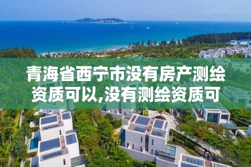 青海省西宁市没有房产测绘资质可以,没有测绘资质可以开测绘发票吗。