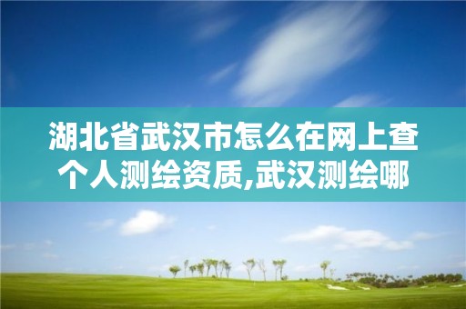 湖北省武汉市怎么在网上查个人测绘资质,武汉测绘哪些单位比较好。