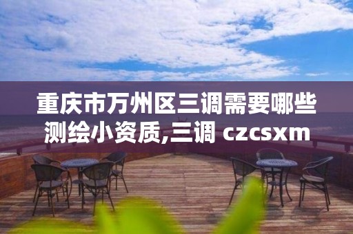 重庆市万州区三调需要哪些测绘小资质,三调 czcsxm。