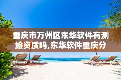 重庆市万州区东华软件有测绘资质吗,东华软件重庆分公司。