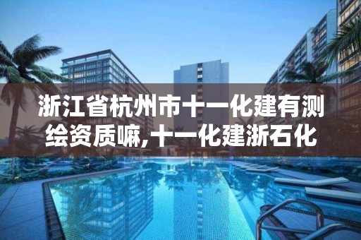 浙江省杭州市十一化建有测绘资质嘛,十一化建浙石化项目。