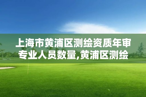 上海市黄浦区测绘资质年审专业人员数量,黄浦区测绘局。