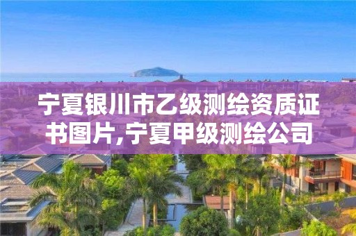 宁夏银川市乙级测绘资质证书图片,宁夏甲级测绘公司。