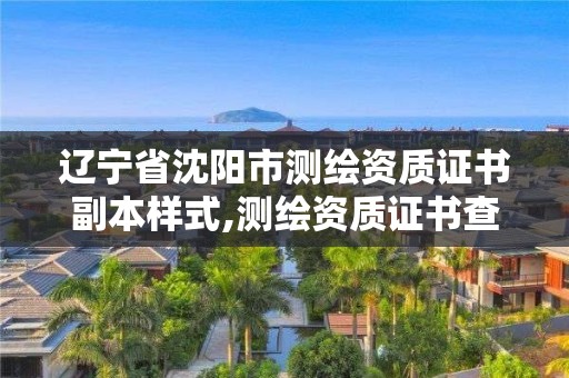 辽宁省沈阳市测绘资质证书副本样式,测绘资质证书查询。