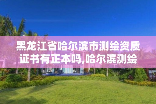 黑龙江省哈尔滨市测绘资质证书有正本吗,哈尔滨测绘职工中等专业学校。