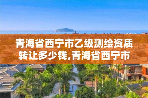 青海省西宁市乙级测绘资质转让多少钱,青海省西宁市乙级测绘资质转让多少钱一个。