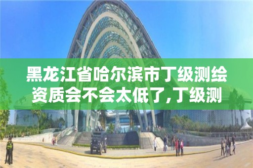 黑龙江省哈尔滨市丁级测绘资质会不会太低了,丁级测绘资质申请人员条件。