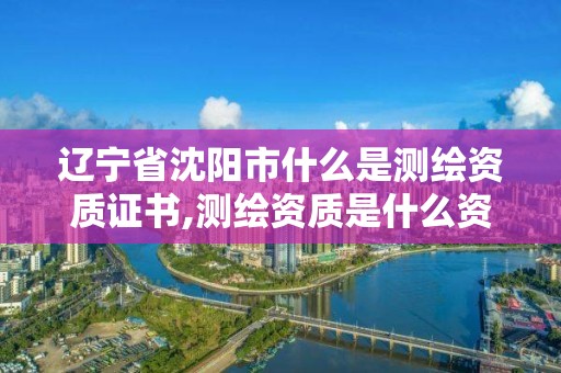 辽宁省沈阳市什么是测绘资质证书,测绘资质是什么资质。