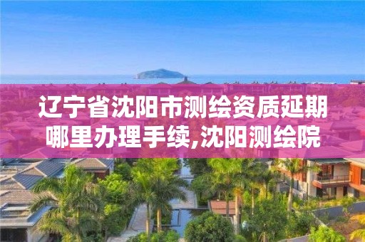 辽宁省沈阳市测绘资质延期哪里办理手续,沈阳测绘院电话。