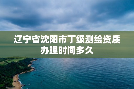 辽宁省沈阳市丁级测绘资质办理时间多久