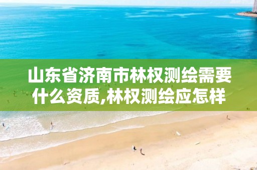 山东省济南市林权测绘需要什么资质,林权测绘应怎样收费。