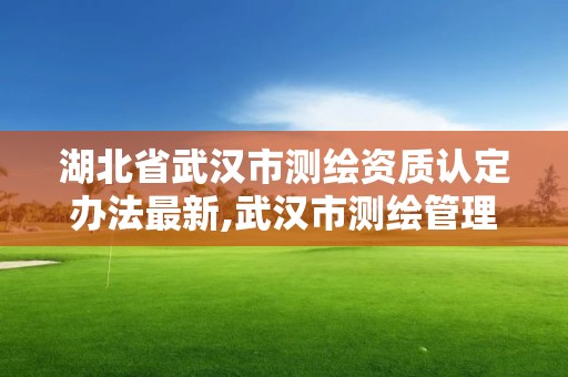 湖北省武汉市测绘资质认定办法最新,武汉市测绘管理条例。