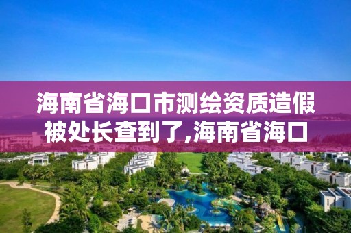 海南省海口市测绘资质造假被处长查到了,海南省海口市测绘资质造假被处长查到了吗。