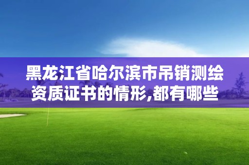 黑龙江省哈尔滨市吊销测绘资质证书的情形,都有哪些情况欲与办理注销和吊销测绘资质。