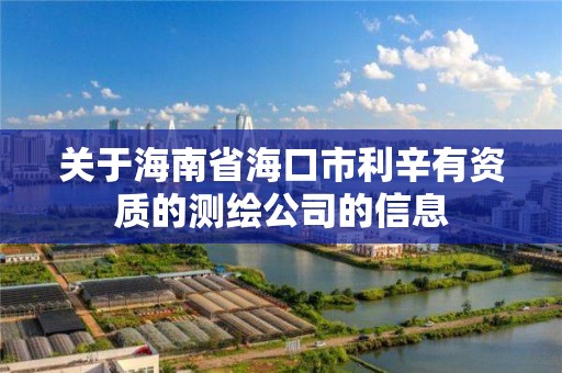 关于海南省海口市利辛有资质的测绘公司的信息