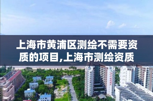 上海市黄浦区测绘不需要资质的项目,上海市测绘资质单位名单。